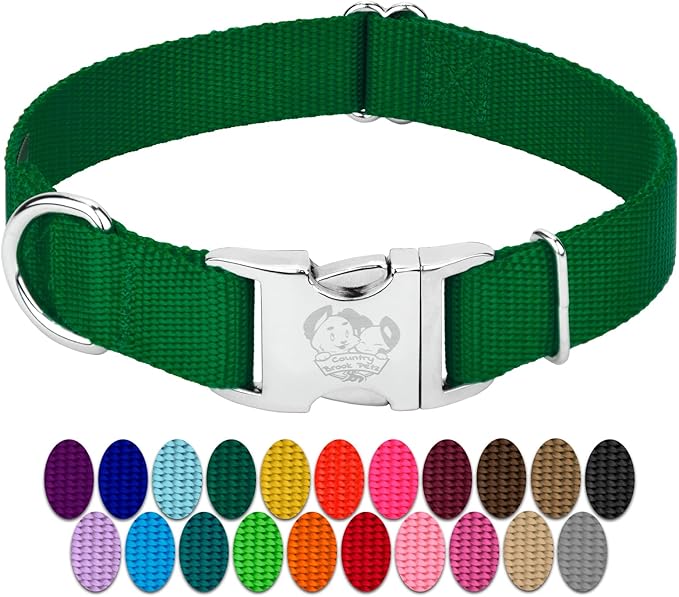 Country Brook Petz - Premium Nylon Dog Collar with Metal Buckle for Small Medium Large Breeds - 10+ Cool Colors (Large, 1 Inch, Christmas Green)