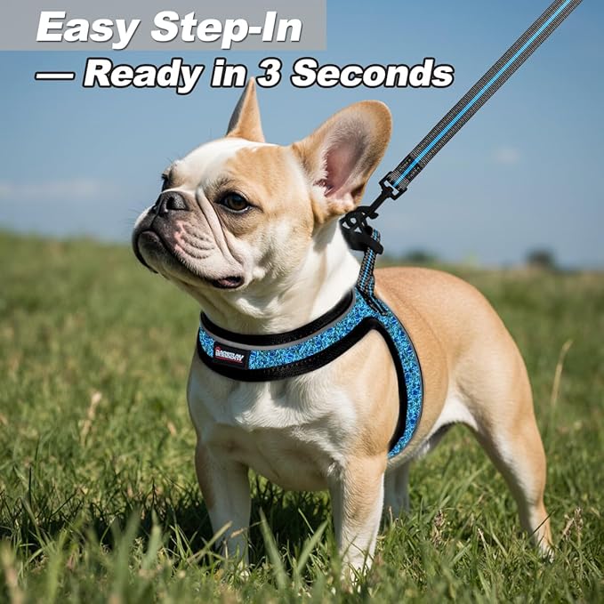 Dog Harness and Leash Set,Step in Small Sized Dog Harness,Soft Mesh,No-Chock,Reflective Adjustable,Secure with Hook & Loop Fastener,Puppy Vest for Small,Medium Dogs(Blue/Black,M)
