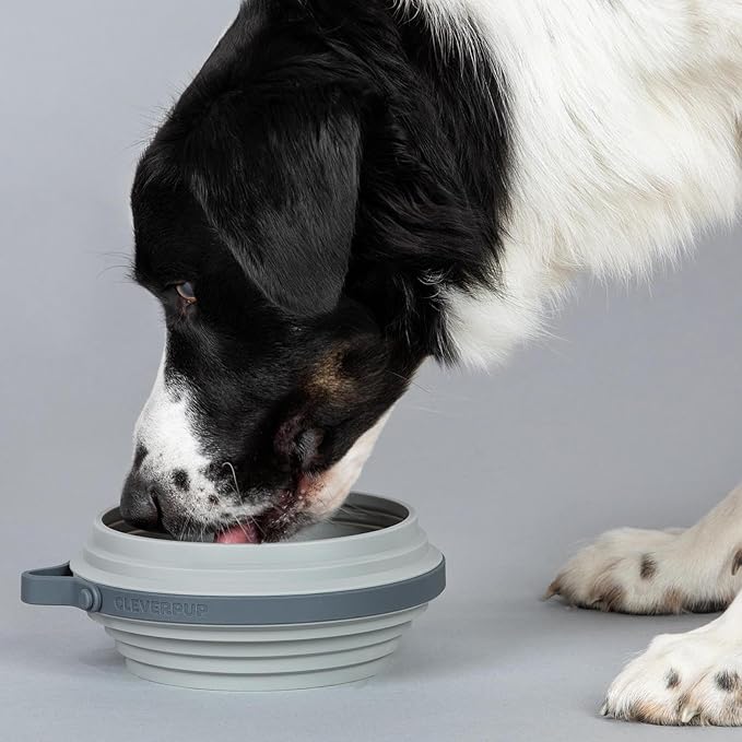 Cleverpup Nomad Large Collapsible Travel Dog Bowl - 4 Cup BPA-Free Silicone for Medium & Large Dogs, Portable, Food & Water, Dishwasher Safe - Grey