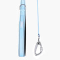 DF Co. Close Control Short Trainer Dog Leash | Strain Free & Shock Resistant, Durable Material, 65cm in Length, Heavy Duty Clips & D-Ring | Sky Blue, Size Regular