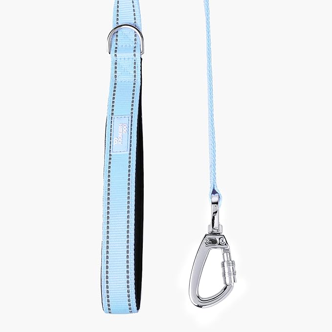 DF Co. Close Control Short Trainer Dog Leash | Strain Free & Shock Resistant, Durable Material, 65cm in Length, Heavy Duty Clips & D-Ring | Sky Blue, Size Regular