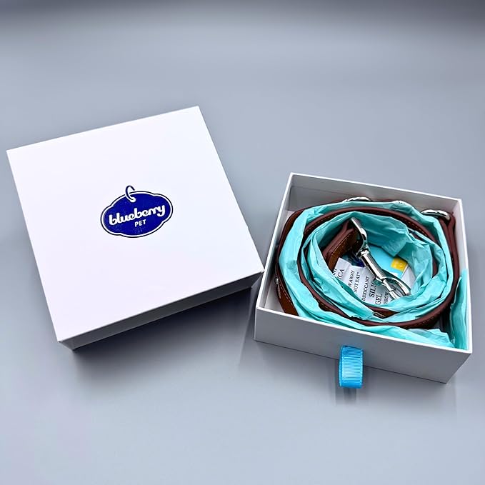 Blueberry Pet Elegant Western Luxury White Leather Dog Leash with Gold Baroque Design