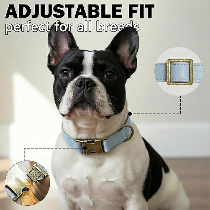 Dog Collars for Small Dogs Silicone Leather Dog Collars Soft Flexible Waterproof Odor-Proof Durable Thick Classic Adjustable Pet Puppy Collar (Blue, Small (9-14" Neck))