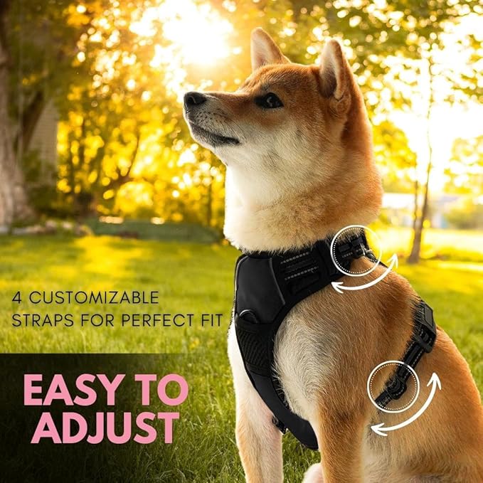 Ziggy Pet Dog Harness Adjustable Nylon Mesh Vest with Leash Clips (Black, Extra Large)