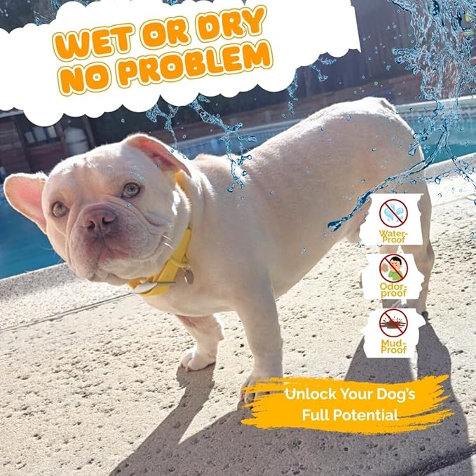 Waterproof Dog Collar, Soft Comfortable Pet Collars, Adjustable Odor Proof Heavy Duty Dog Collars Easy to Clean for Large, Medium Small Dogs by Bee N Buu (Yellow, Small (length8-12, Width 3/4"))