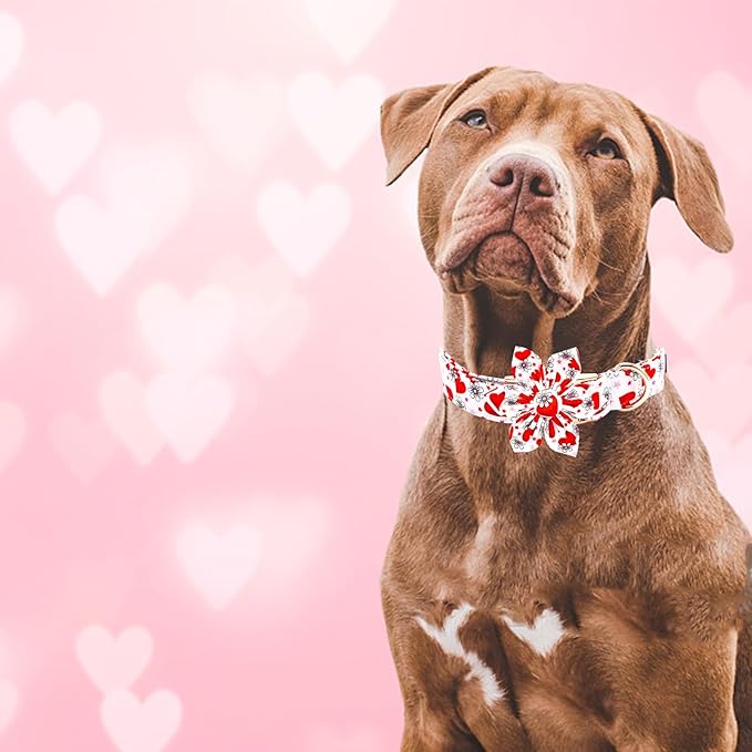 Elegant little tail Valentine's Dog Collar with Flower, Cute Flower with Heart Pet Collars Holiday Female Adjustable Cotton Pet Collar with Flowers for Small Medium Large Dogs