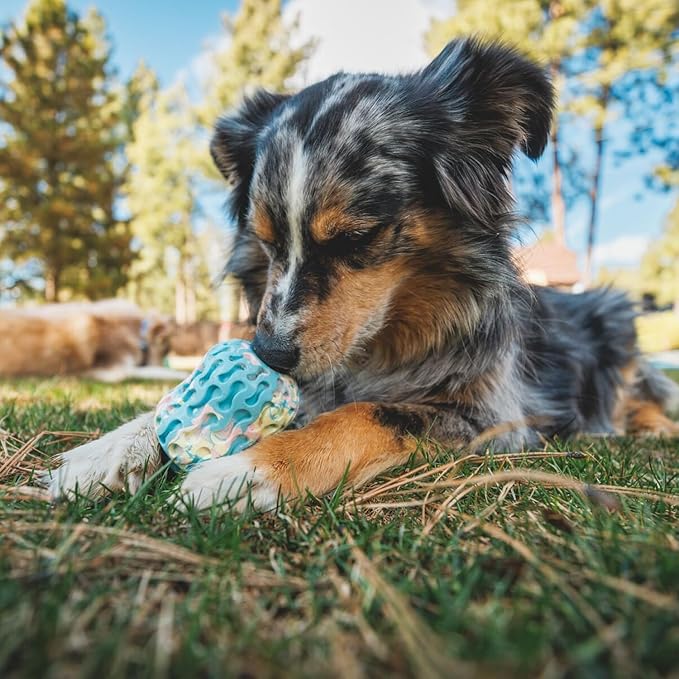 Ruffwear, Morel Toy, Interactive Enrichment Toy for Dogs, Blue Prism