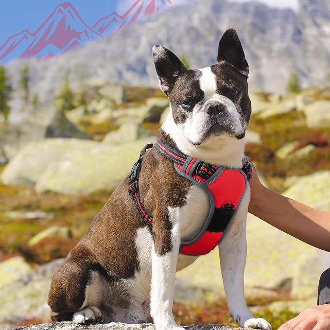 Eagloo Dog Harness Medium Sized Dog, No Pull Service Vest with Reflective Strips and Control Handle, Adjustable and Comfortable for Easy Walking, No Choke Pet Harness with 2 Metal Rings, Red, M