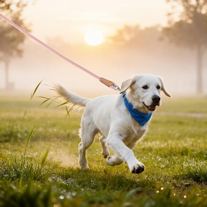 Mile High Life Dog Leash, Rope Leash with Genuine Leather Connection and Heavy Duty Metal Clasp, Great for Small Medium Large Dogs(Pink,72 Inch)