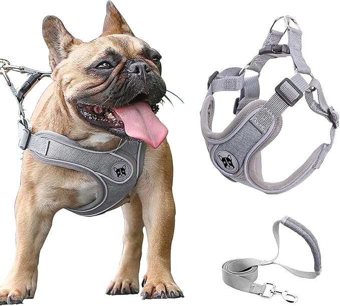 Small Dog Harness and Leash Set,No Pull Adjustable Step in Soft Mesh Vest Harness,Easy Walk Reflective Pet Harness with Padded Handle for Walking Training Small Medium Large Dogs and Cats (Grey, S)