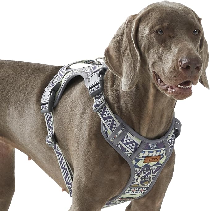 No Pull Dog Harness with 2 Metal D-Rings, Easy on/Off Dog Vest with Neck Buckle, No Need Over Head, Easy Walk Escapeproof No Choke Reflective Breathable, Harness for Large Dogs