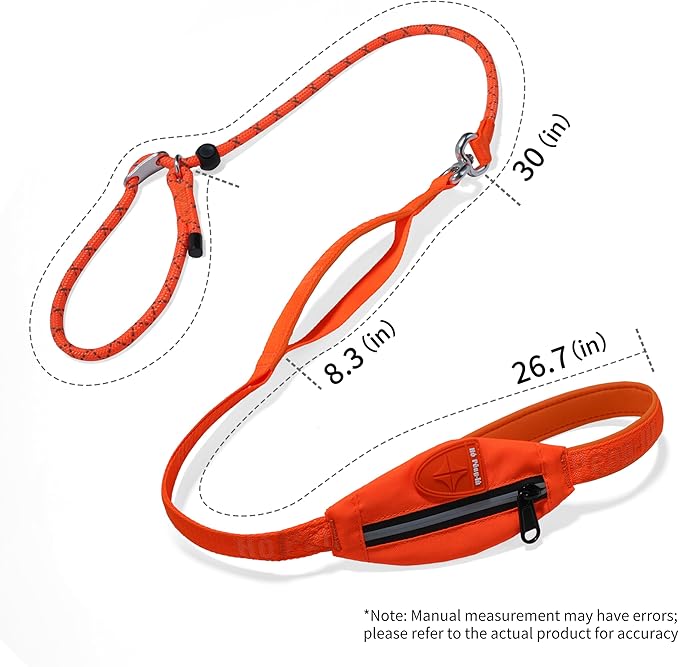 Dog Slip Lead Dog Leash, Heavy Duty No-Pull Training Leash w/Poop Bag Holder, Anti-Tangle, Multi-Handles & Reflective Thread for Medium, Large Dogs 5.5FT Cyan