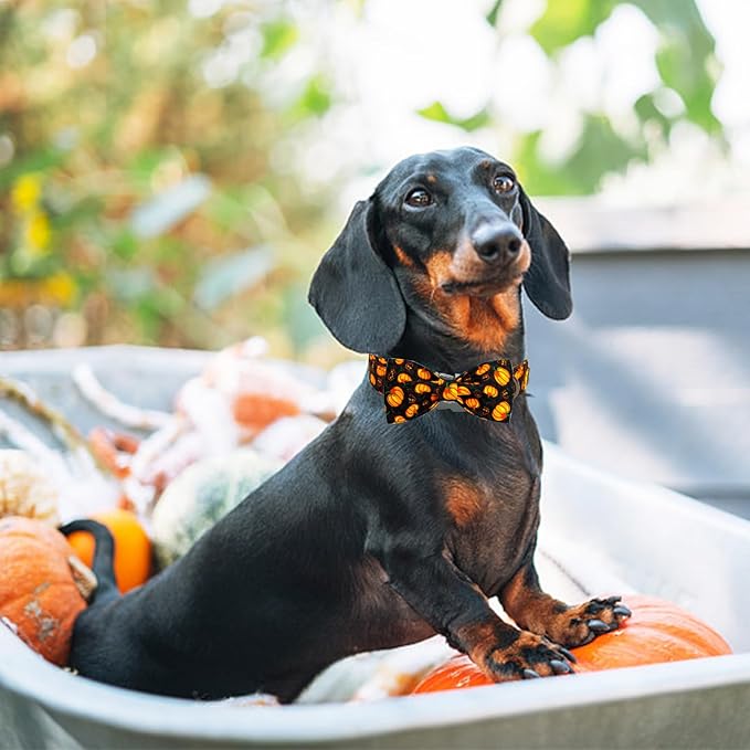 Elegant little tail Fall Dog Collar, Halloween Pet Collars with Bow Cute Pumpkin Print Puppy Collar Female or Male Cotton Adjustable Collars for Small Medium Large Dogs