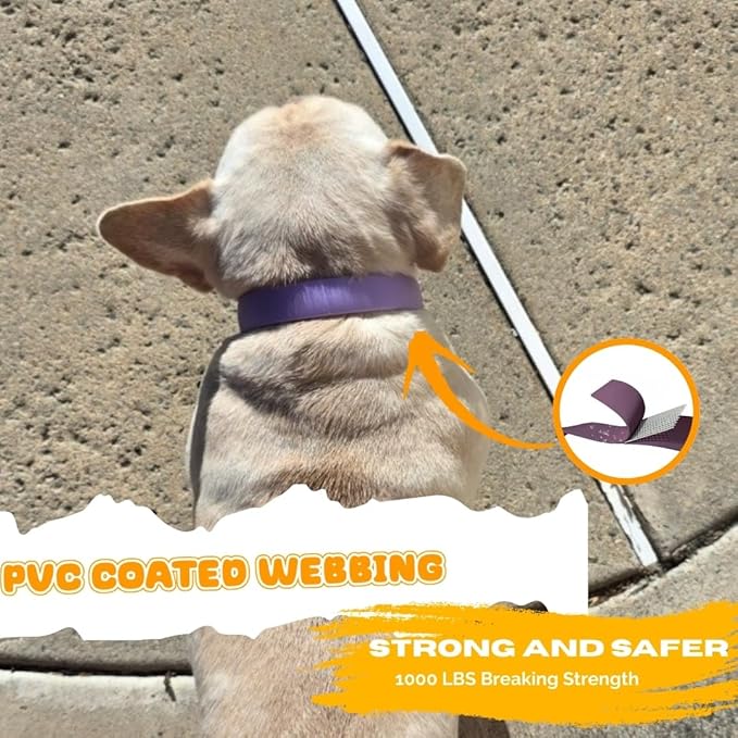 Waterproof Dog Collar, Soft Comfortable Pet Collars, Adjustable Odor Proof Heavy Duty Dog Collars Easy to Clean for Large, Medium Small Dogs by Bee N Buu (Purple, Small (length8-12, Width 3/4"))