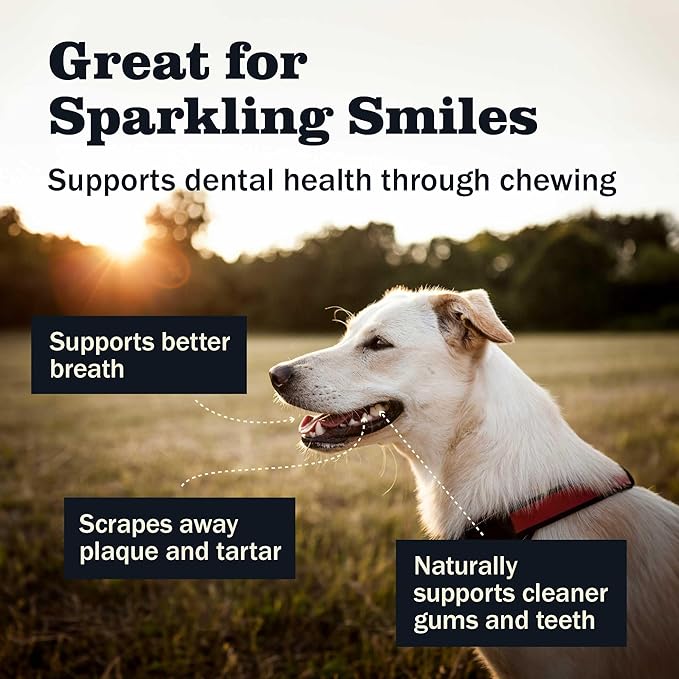 Redbarn Pet Products All Natural 8"-12" Bully Sticks for Medium/Large Dogs - Healthy Long Lasting Chews Variety Party Pack - 100% Beef Single Ingredient Low Odor Rawhide Free - 1lb