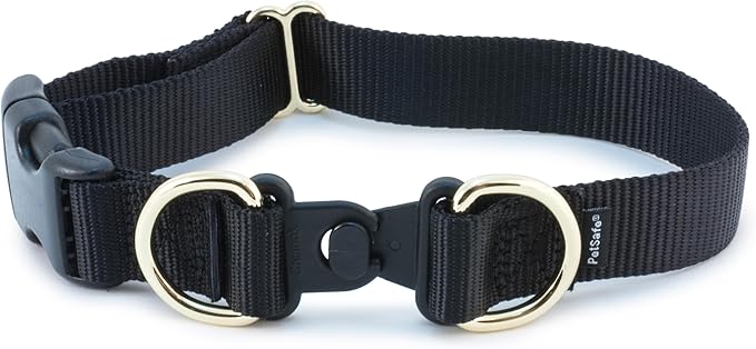PetSafe KeepSafe Collar for Dogs - Protects Against Collar Accidents - Long Lasting - Durable - Adjustable - Breakaway - Outdoor-Safe - Medium - 1 in. Wide - Black