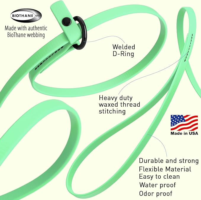 Dogline Biothane Slip Dog Leash - for Small, Medium and Large Dogs - Odor Free Slip Lead, Heavy Duty and Durable Material Kennel Lead - Sea Foam Green - 5ft L x 3/8in W