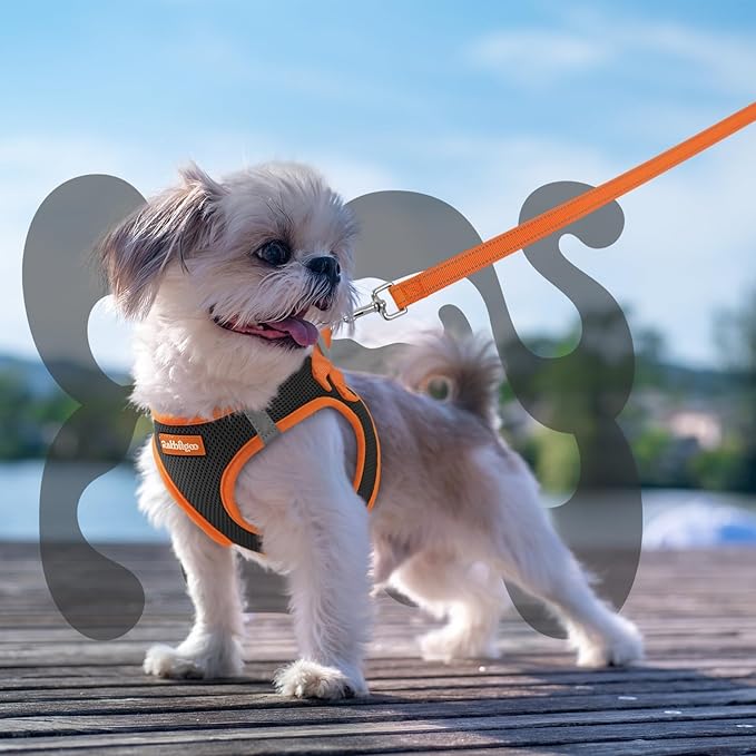 rabbitgoo Dog Harness Small Sized and Leash Set, Step-in Breathable Pet Harness, Soft Walking Reflective Puppy Vest for Small Dogs, Black & Orange, S