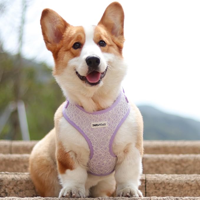 No Pull Dog Vest Harness for Small&Medium Dogs, Side Clip Adjustable Pet Vest, Soft Breathable, Fashion Dog Harnesses for Walking, Running, Shopping (Purple, XS)