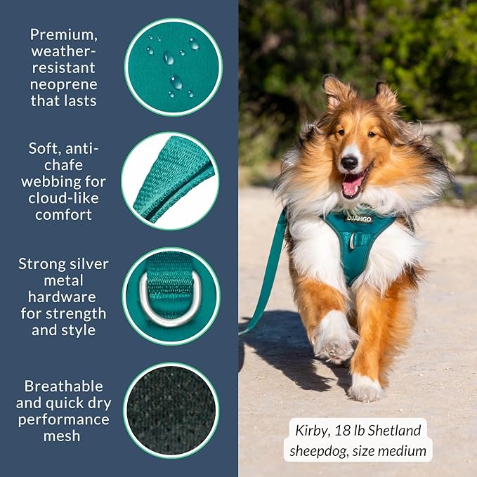 DJANGO Tahoe No Pull Dog Harness – Escape-Proof Dog Harness for Small Dogs with Front & Back Clips for Everyday Use – Adjustable, Padded, Reflective, Secure Fit, Easy On/Off – Dark Teal, Small