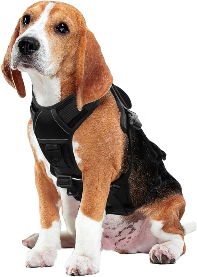 AUROTH Escape Proof Dog Harness - No Pull with Lift Handle, Soft Padded Reflective Adjustable Vest, Large for Walking, Hiking, Training