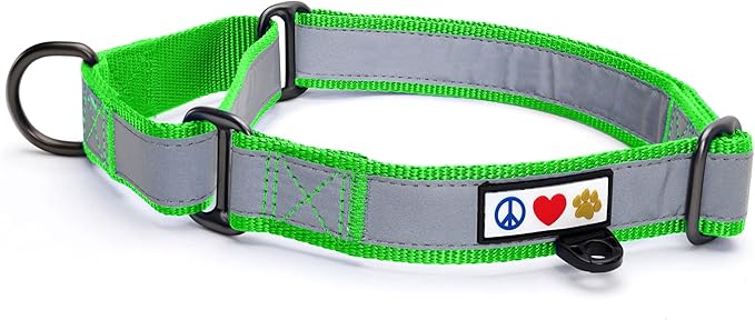 Pawtitas Personalized Dog Collar Martingale Dog Collar with Name Phone Number Reflective Martingale Dog Collar Customized Collar for Large Dogs | Green Custom Dog Collars for Large Dogs