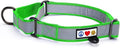 Pawtitas Personalized Dog Collar Martingale Dog Collar with Name Phone Number Reflective Martingale Dog Collar Customized Collar for Large Dogs | Green Custom Dog Collars for Large Dogs