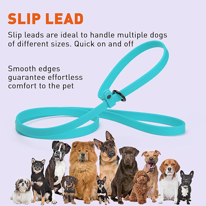 Dogline Biothane Slip Dog Leash - for Small, Medium and Large Dogs - Odor Free Slip Lead, Heavy Duty and Durable Material Kennel Lead - Sky Blue - 7ft L x 5/8in W