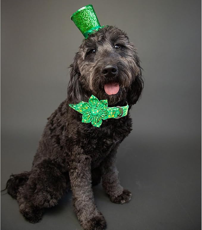 Lionheart glory St. Patrick's Day Dog Collar with Flower Dog Collars for Medium Dogs, Heavy Duty Green Collars Bows Lucky Clover Shamrock Pet Collar Flower Puppy