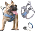 Small Dog Harness and Leash Set,No Pull Adjustable Step in Soft Mesh Vest Harness,Easy Walk Reflective Pet Harness with Padded Handle for Walking Training Small Medium Large Dogs and Cats (Blue, S)