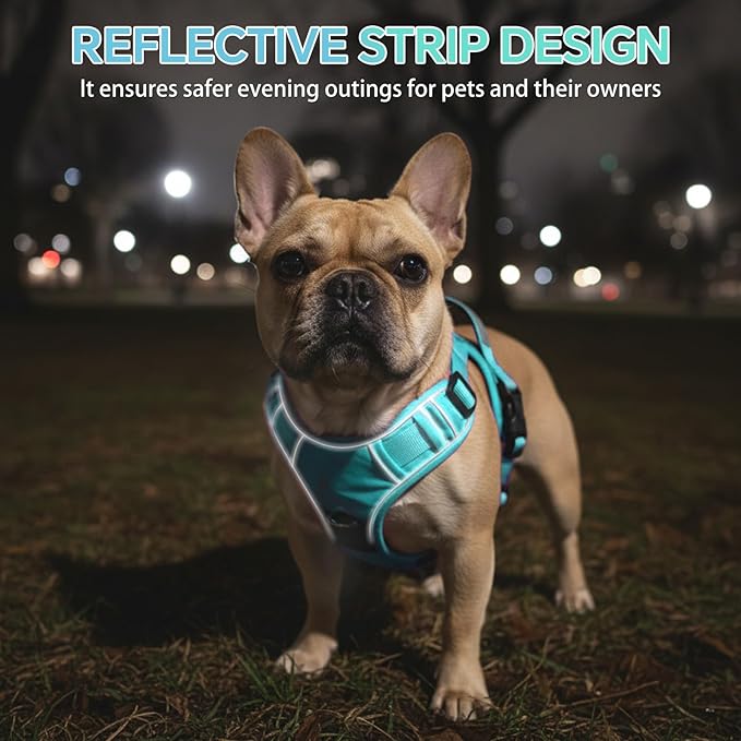 Heavy Duty Tactical Dog Harness for Medium Dogs, No Pull Dog Harness with Handle & Front Clip, Reflective Soft Padded, Hook and Loop Panel, Dog Vest for Walking, Service Training, Blue