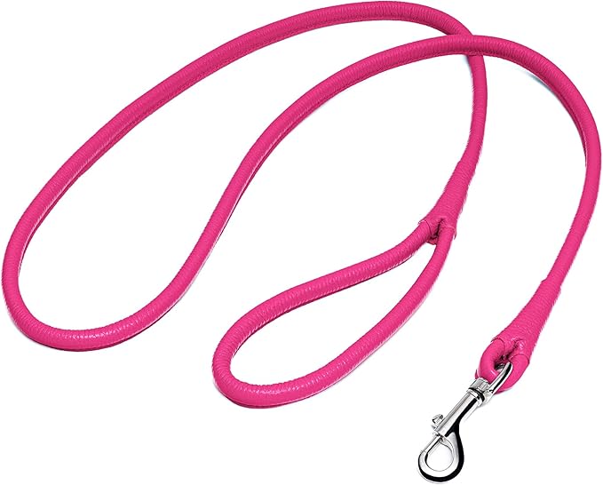 OOPSDOGGY Rolled Leather Dog Lead 6ft Heavy Duty Training Leash for Small Medium Large Dogs & Puppy Black Brown Red (Pink, Large)