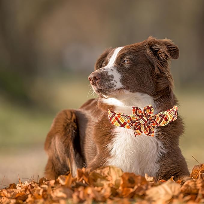 Little Tail Elegant Plaid Dog Collar with Flowers - Soft & Durable for X-Large Dogs