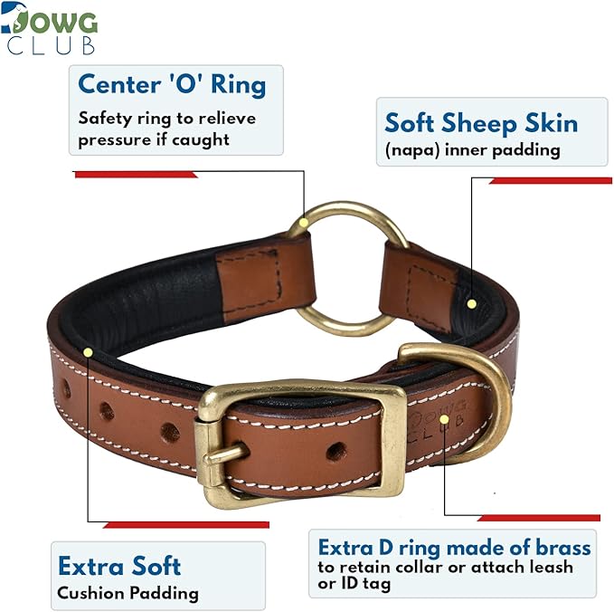 | Genuine Leather Adventure Dog Collar | Full Grain, Heavy Duty | With inner Cushioned padding | Best for Medium, Large & XL Dogs (Large (Fit Neck Size 18.5"-22.5"), Brown With Center O Ring)