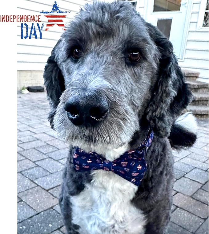 Lionheart glory American Flag Dog Collar 4 of July Independence Patriotic Dog Bow Collars Heavy Duty Adjustable Soft Collar with Bowtie for Medium Dogs Pet Gift
