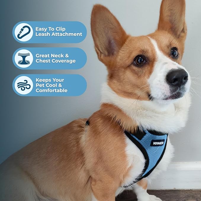 Voyager Step-in Pet Harness - All Weather Mesh, Adjustable Step in Harness for Cats and Dogs by Best Pet Supplies - Baby Blue/Black Trim, M