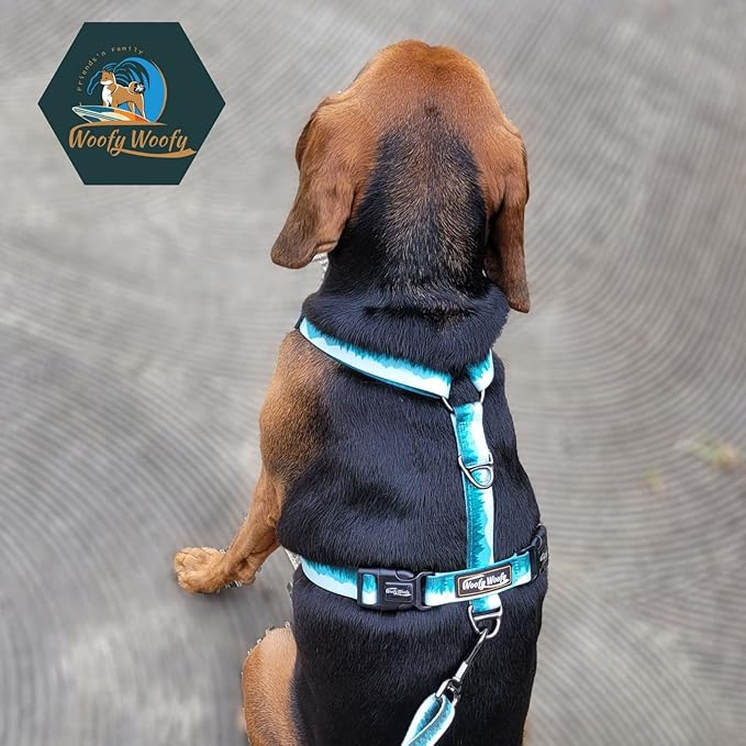 Casual H Dog Harness, No-Pull Pet Harness with 2 Leash Clips, Adjustable Soft Padded Dog Vest for Small, Medium, and Large Dogs, Forest Green Gradiant Color (L)