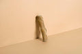 Coffee Wood Dog Chew Stick - 100% Natural Toy Safe, Durable L (Single)
