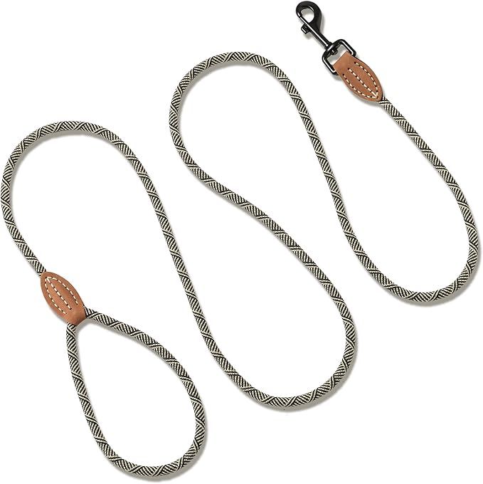 Mile High Life Small Dog Leash, Thin Rope Leash with Genuine Leather Connection and Heavy Duty Metal Clasp, Great for Small Medium Dogs(White,72 Inch-1/3)