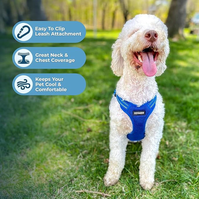 Best Pet Supplies Voyager Adjustable Step-in Flex Breathable Mesh Dog Harness for Small Medium Large Dogs Leash Set (Royal Blue), M