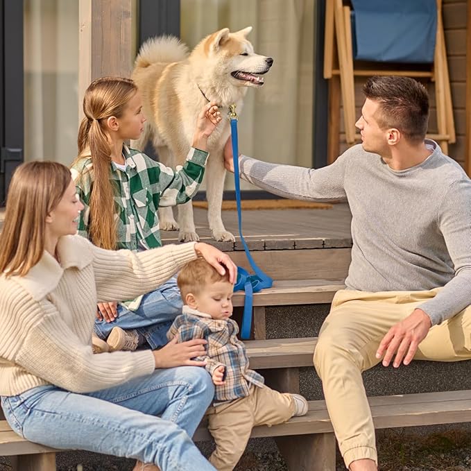 Viper Biothane K9 Working Dog Leash Waterproof Lead for Tracking Training Schutzhund Odor-Proof Long Line with Solid Brass Snap for Puppy Medium and Large Dogs, 15ft Cerulean Blue