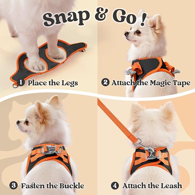 rabbitgoo Dog Harness Small Sized and Leash Set, Step-in Breathable Pet Harness, Soft Walking Reflective Puppy Vest for Small Dogs, Black & Orange, L