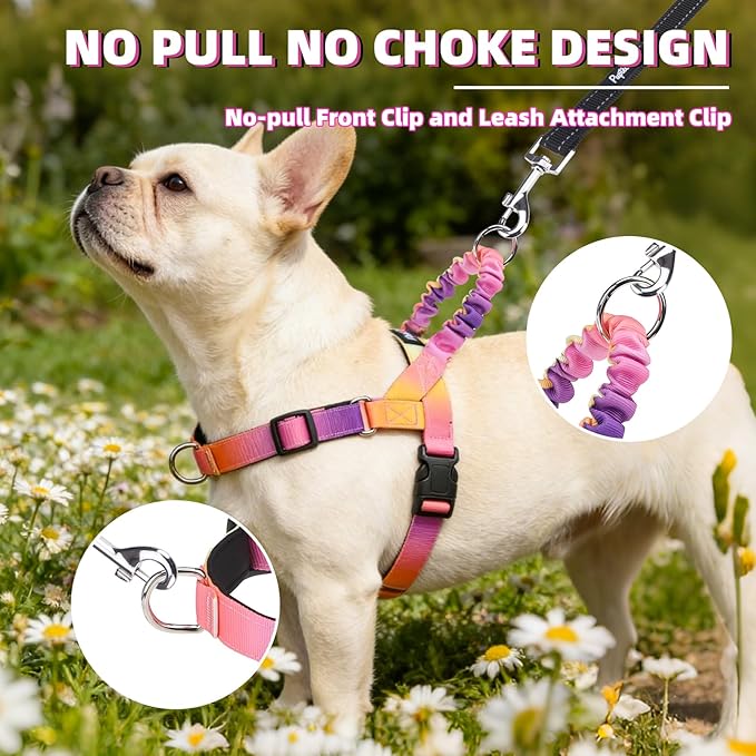 PUPTECK No Pull Dog Harness Small Sized Dog, Adjustable Reflective Pet Vest Harness with Bungee Handle, Escape Proof No Choke Harness for Small Dogs Walking Training, Pink & Purple M