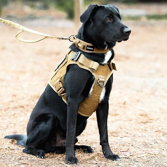 Tactical Dog Vest Harness (Khaki, Large)