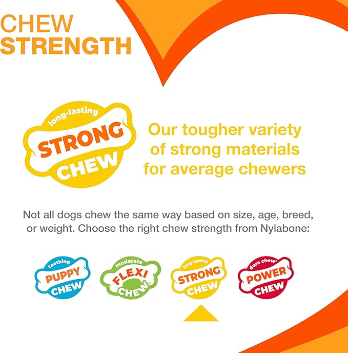 Nylabone Strong Chew Toy 4-Pack Bundle for Dogs Made with Real Bacon, Bison, Venison, Beef, & Chicken, Durable Dog Chew Bones for Aggressive Chewers, Small Dog Toys - Up to 25 lbs, 4 Count