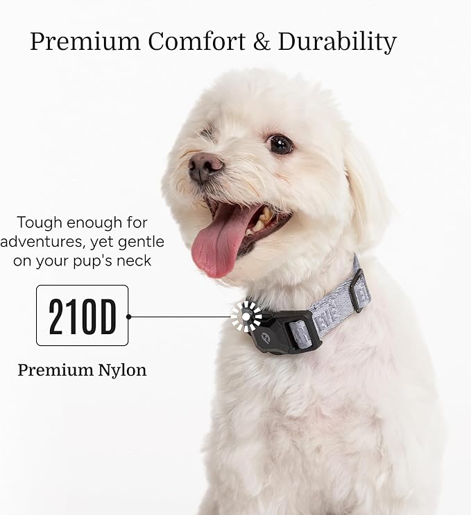 2026 New Edition, Fei & Eve MagEase Dog Collar - Patented Magnetic Buckles | Fur-Safe | Premium 210D Nylon | 450LB Escape-Proof | Adjustable Fit | Small (Twilight Gray)