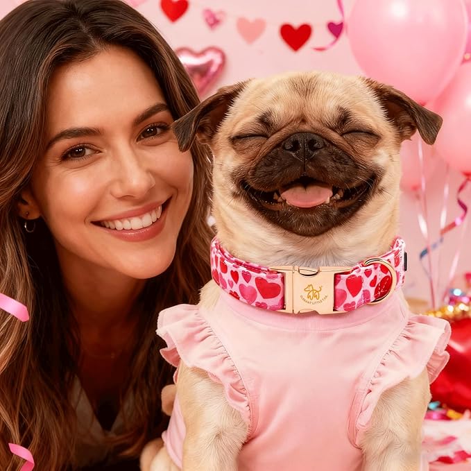 Elegant little tail Valentine's Dog Collar - Pink Red Heart Dog Collars Bowtie Pet Collars with Sturdy Metal Buckle Cute Bow Puppy Adjustable Collar for Large Dogs