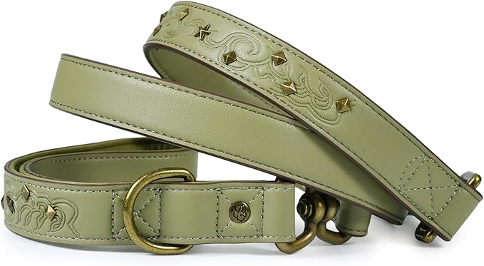 Blueberry Pet Premium Embossed Sage Green Glam Microfiber Leather Dog Leash with Antique Brass Studs