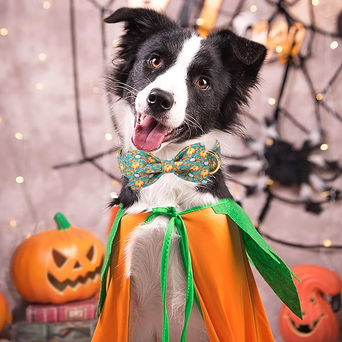 ARING PET Fall Dog Collar with Bow, Halloween Pumpkin Cute Pet Collars with Quick Release Buckle for Puppy Small Medium Large Girl Boy Dogs-L
