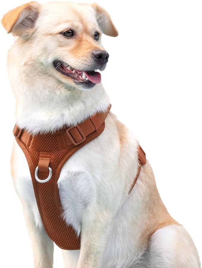 No Pull Dog Harness for Small Medium Large Dogs - Adjustable 2 Layer Mesh Dog Vest with Dual Clip, Escape Proof, Quick Release, Lightweight Breathable Mesh for Walking Hiking (Carmel Brown,S)